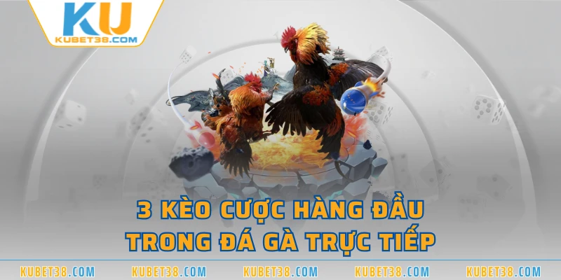 3 kèo cược hàng đầu trong đá gà trực tiếp