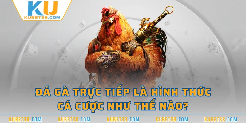 Đá gà trực tiếp là hình thức cá cược như thế nào?