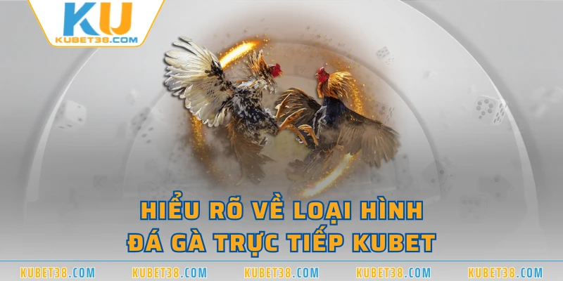 Hiểu rõ về loại hình đá gà trực tiếp KUBET